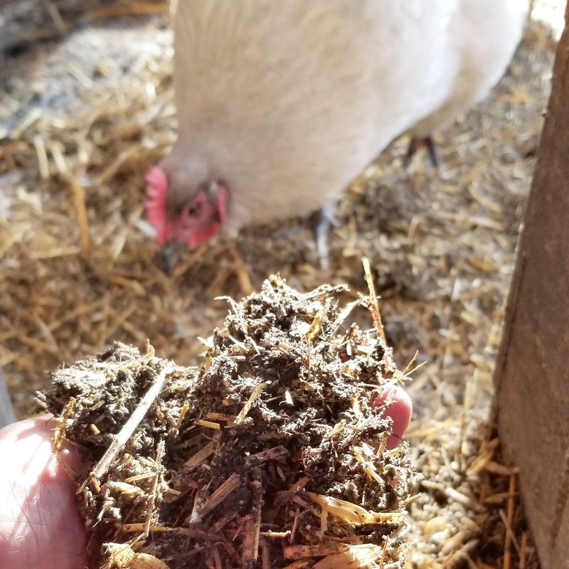 Use Deep Litter Method