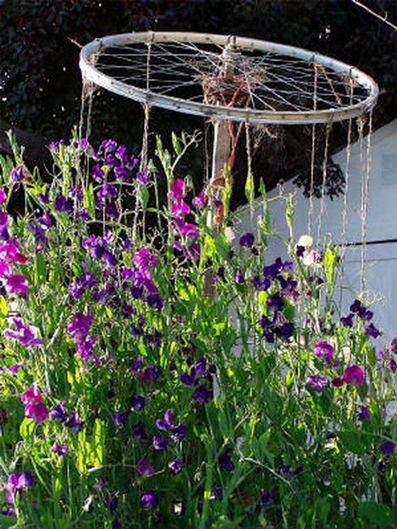 Bike Wheel Trellis