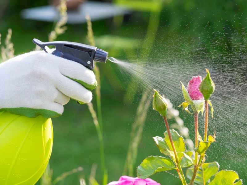 Relying on Pesticides
