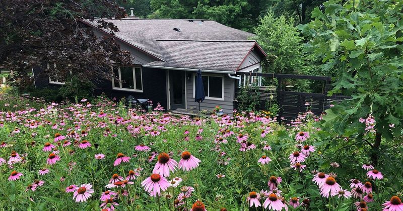 Ignoring Wildlife-Friendly Plants