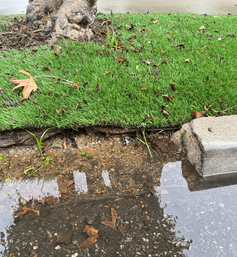 Artificial Turf Invasion