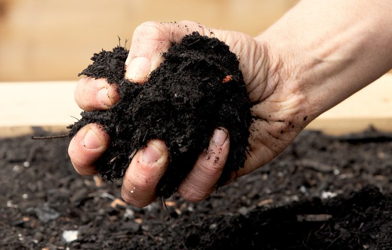 Ignoring Soil Health