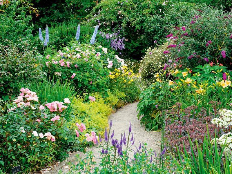 Lack of Seasonal Interest