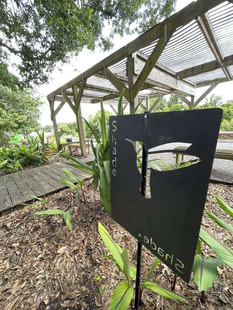 Neglecting Shade and Sun Needs