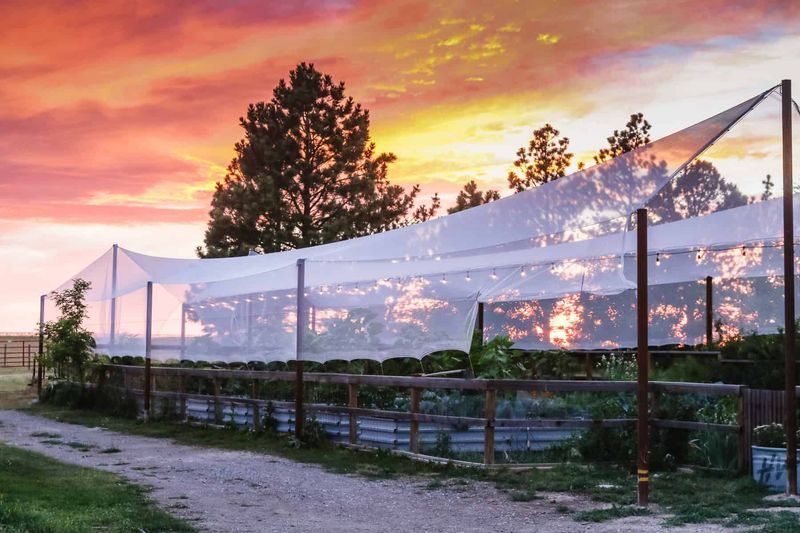 Neglecting Wind Protection