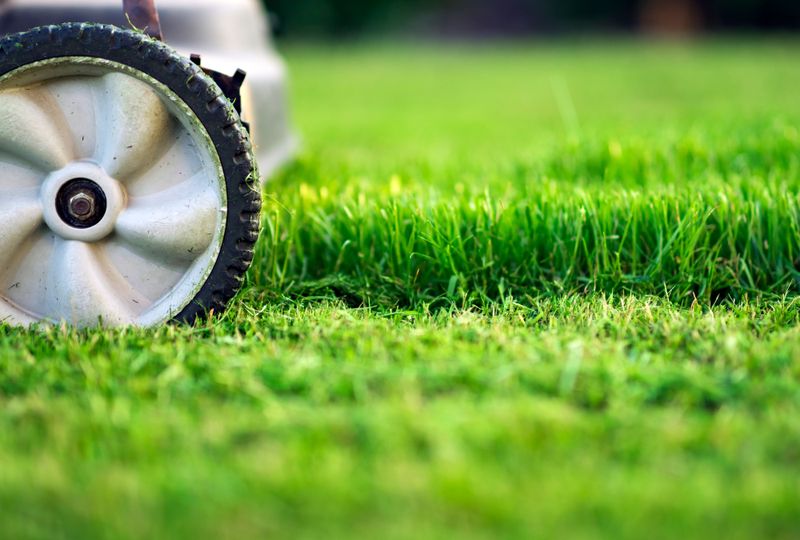 PRO TIP: Mow Higher During Hot Weather