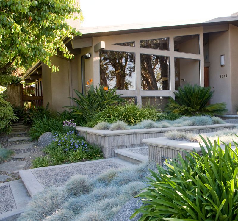 PRO TIP: Embrace Drought-Tolerant Grass Varieties