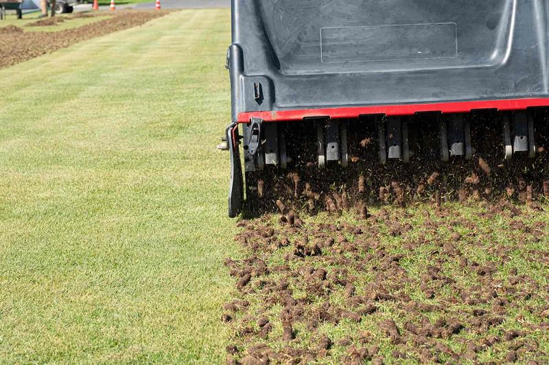 PRO TIP: Aerate Compacted Soil Before Watering
