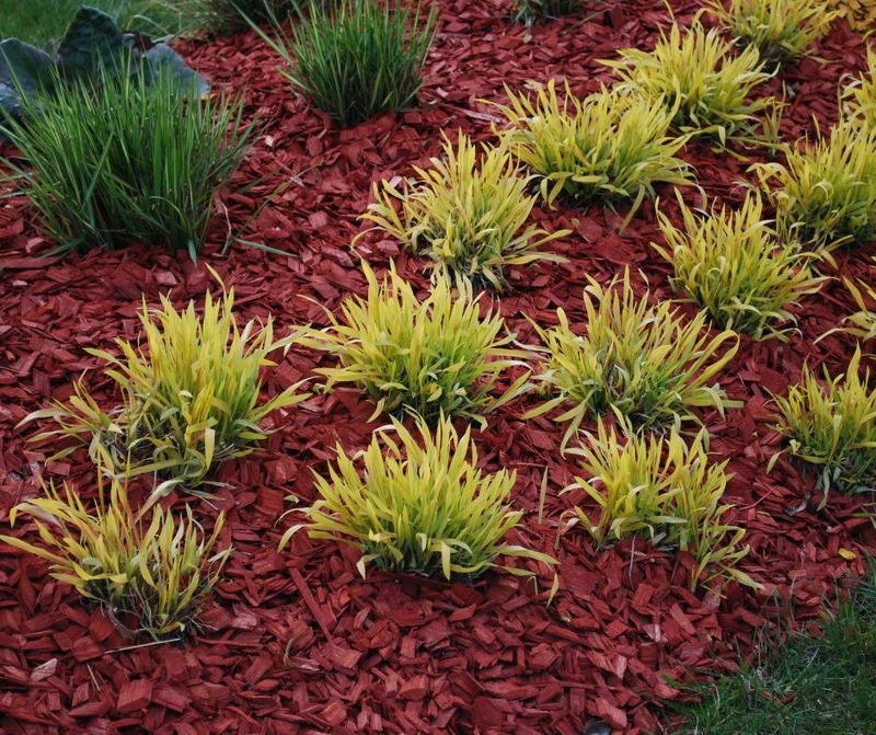 Use Colorful Mulch or Gravel