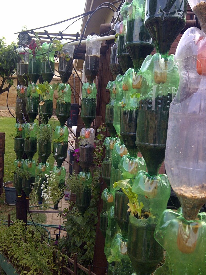 Hanging Bottle Planters