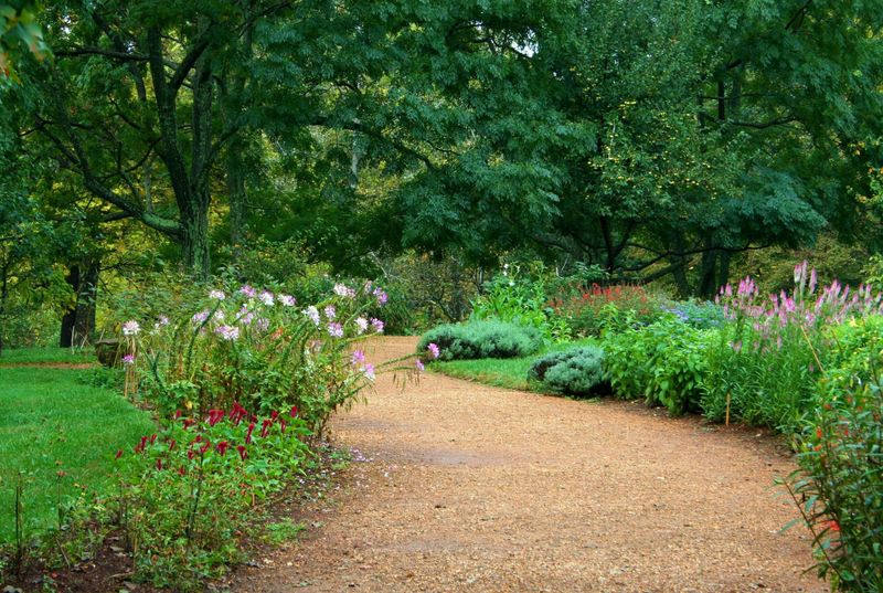 Gravel Garden Path
