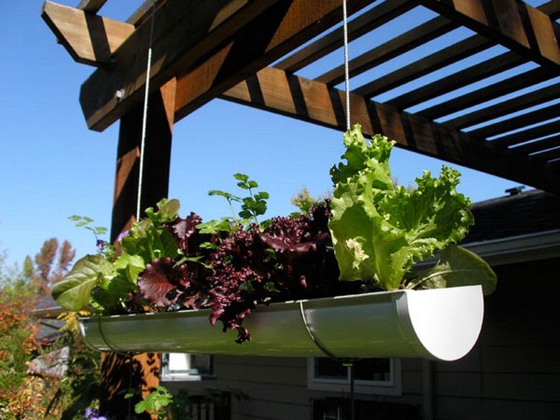 Hanging Gutter Garden