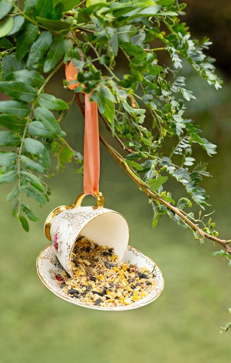 Teacup Bird Feeder