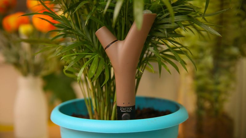 Flower Power by Parrot