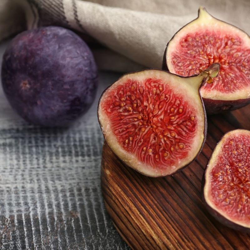 Fig