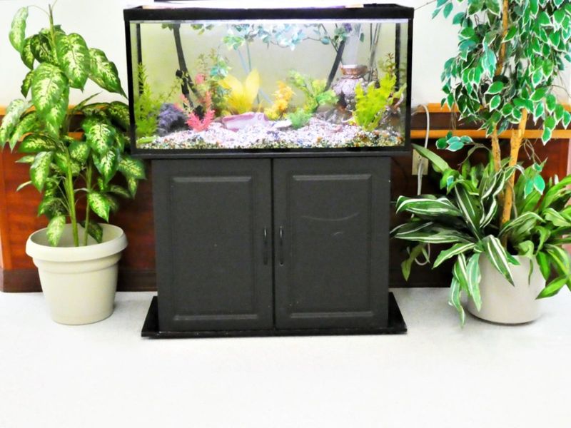 Fish Tank Water