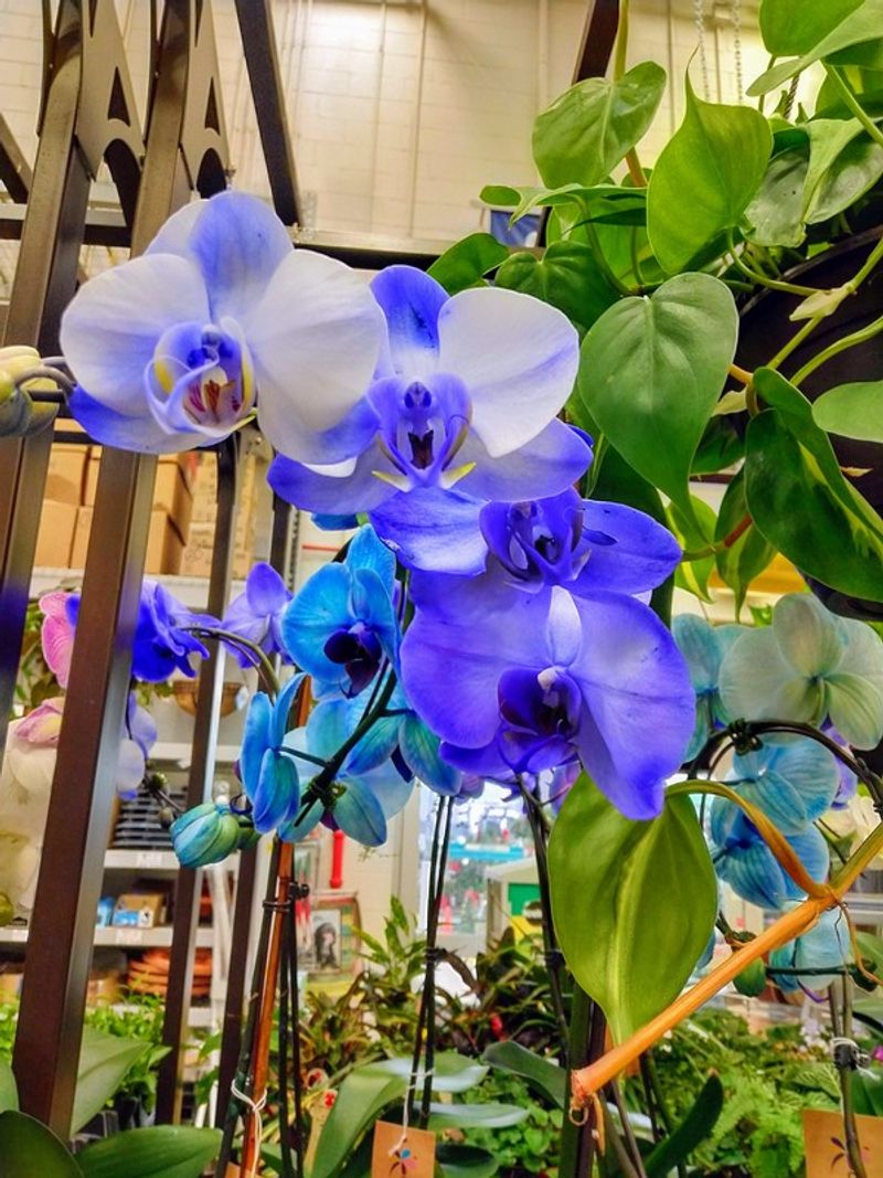 The Hidden Health Impact