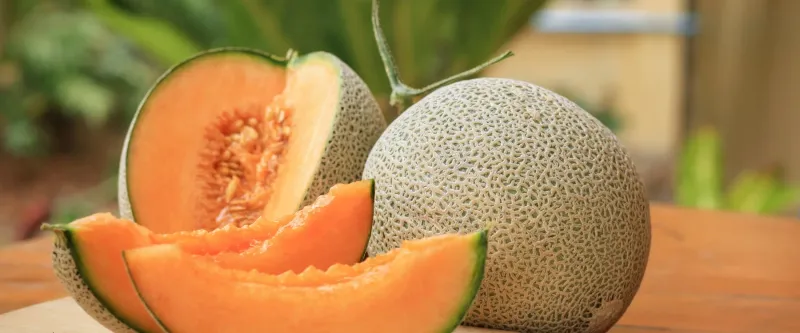 Cantaloupe
