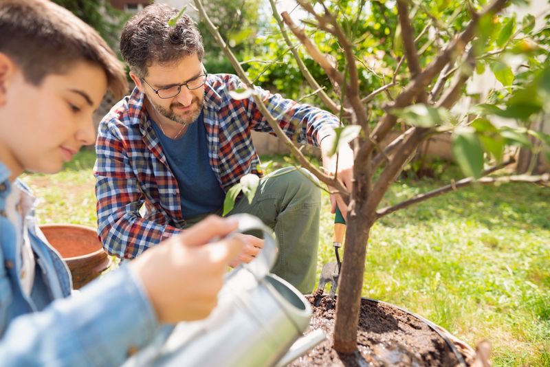 Strategic Watering Timing Boosts Production