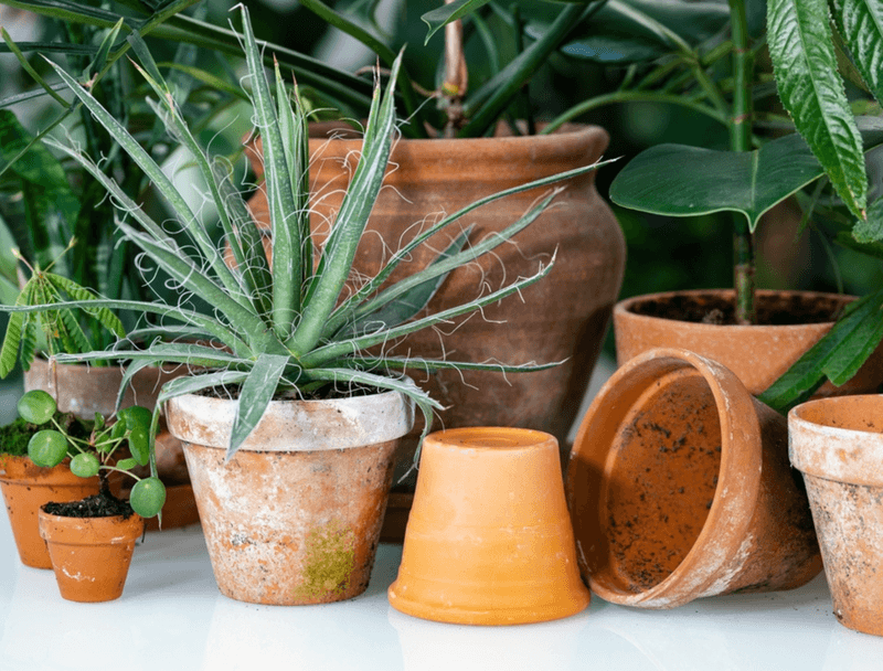 Affordable and Accessible