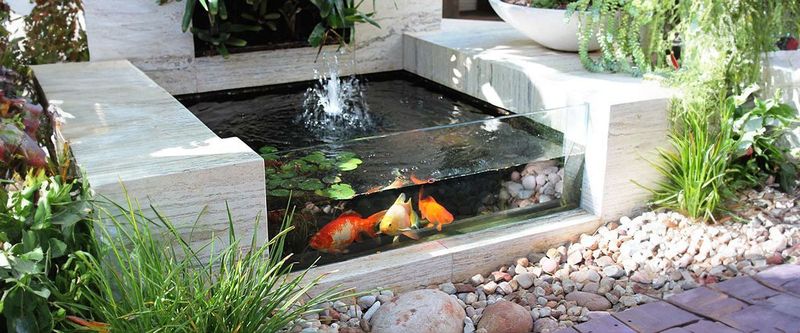 Water Feature
