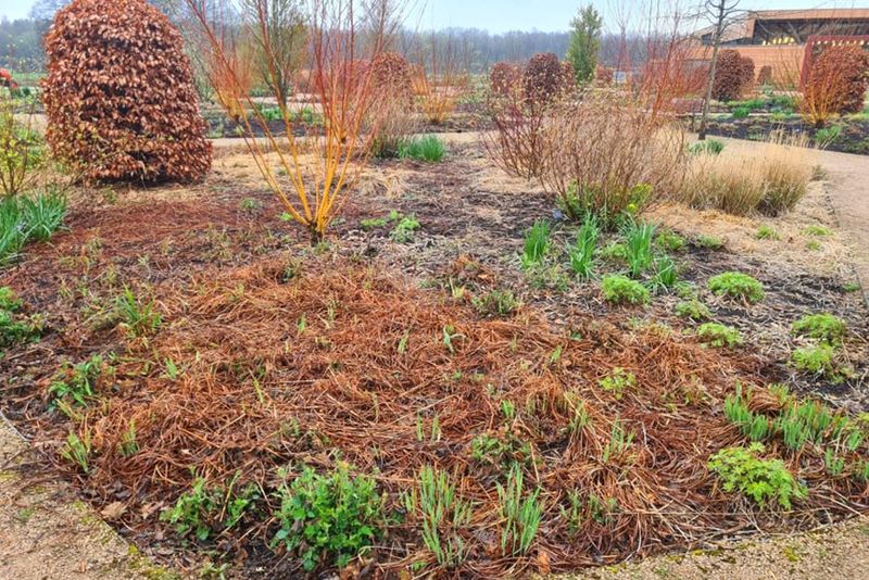 Chop and Drop Simplicity