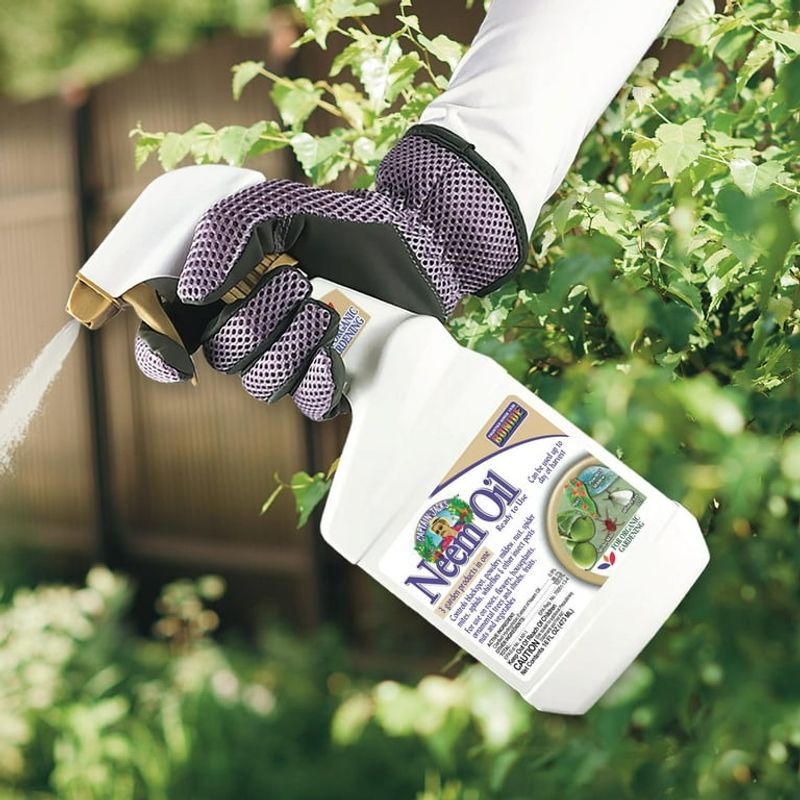 Pest & Disease Control - Neem Oil & Soap Sprays