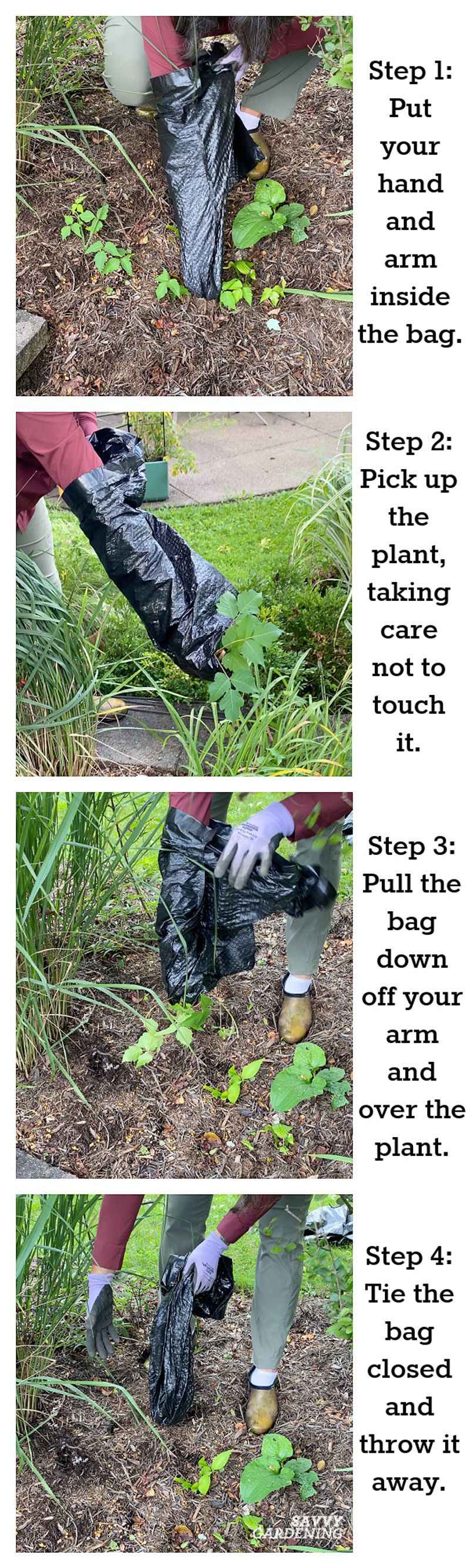 Proper Disposal Techniques