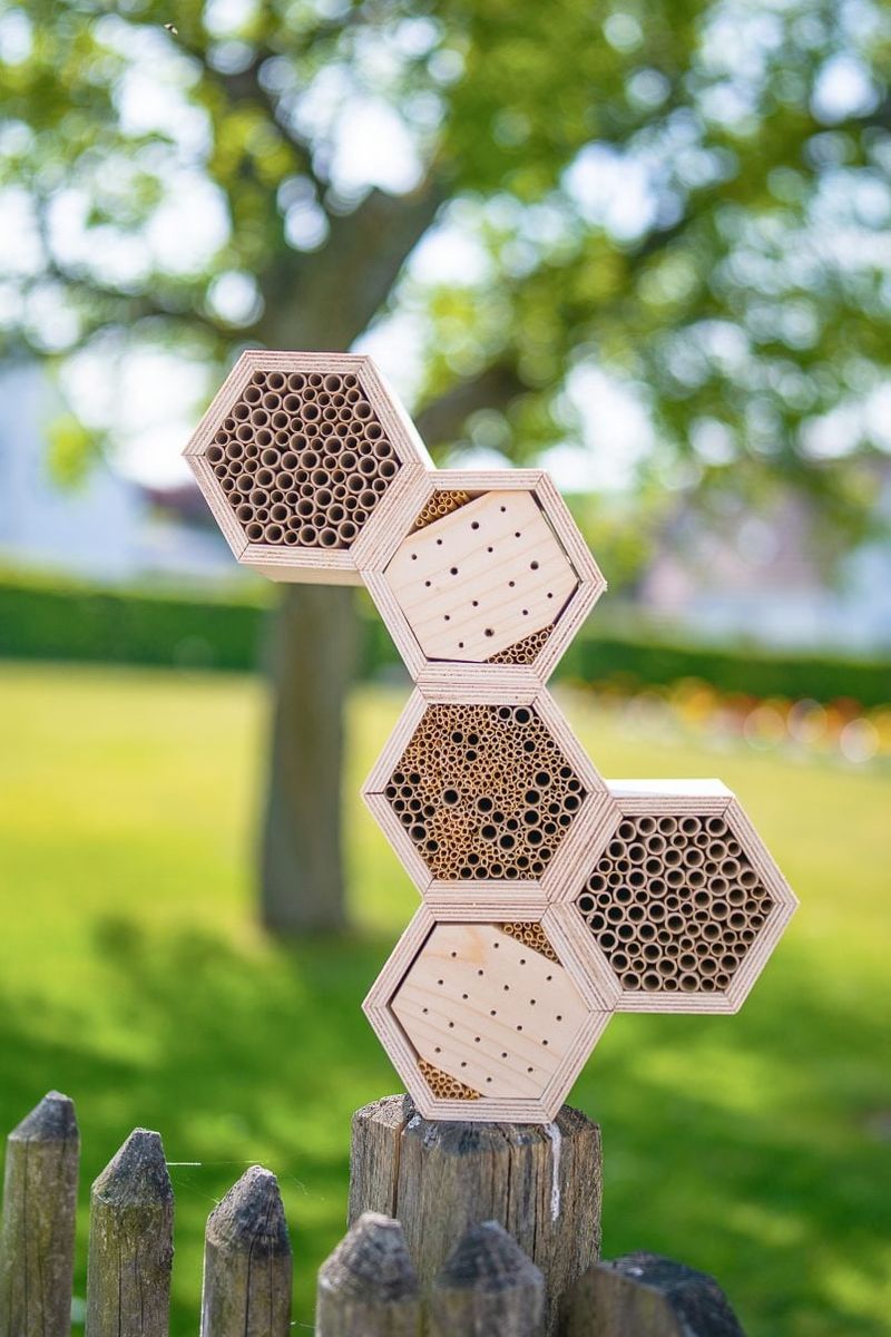 Build a Mini Wildlife Hotel