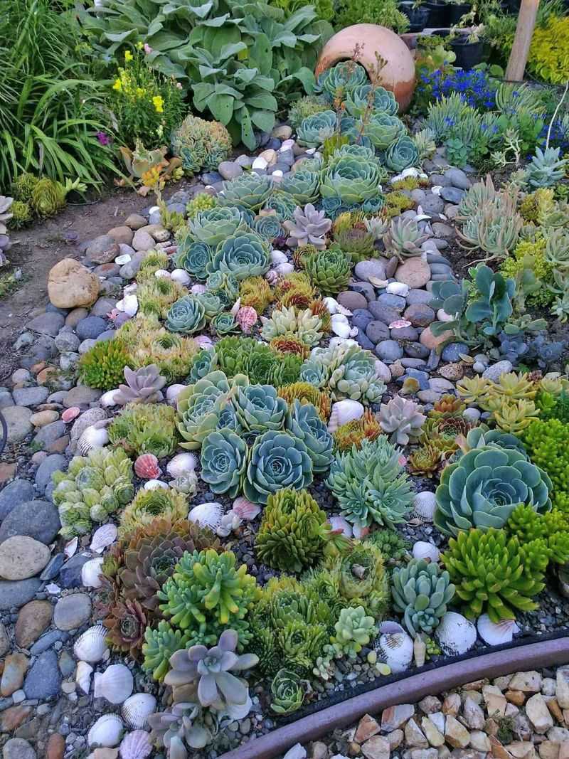 Build a Rock Garden