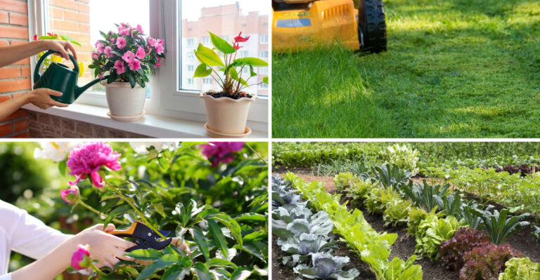 Plant Scientists Just Debunked 17 Popular Garden Habits – It Affects Every Gardener