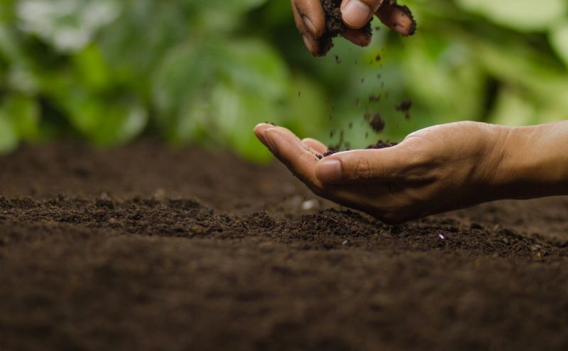 Ignoring Soil Health