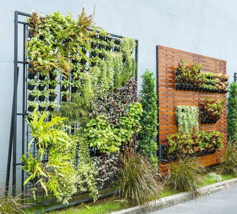 Planting Like a Pro - Vertical Gardening
