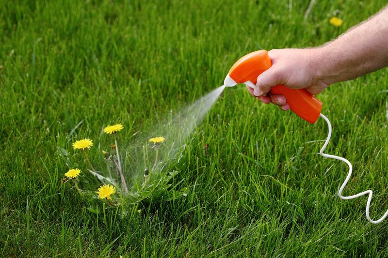 Using Chemical Pesticides Excessively