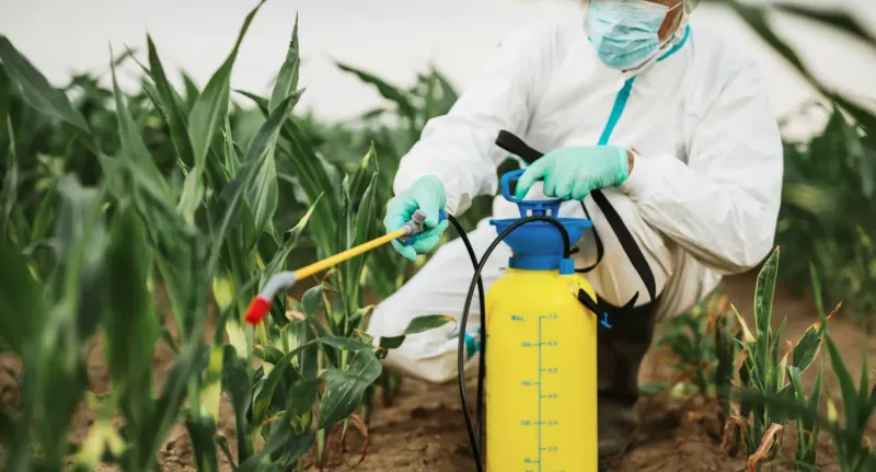 Pest Control Paradox