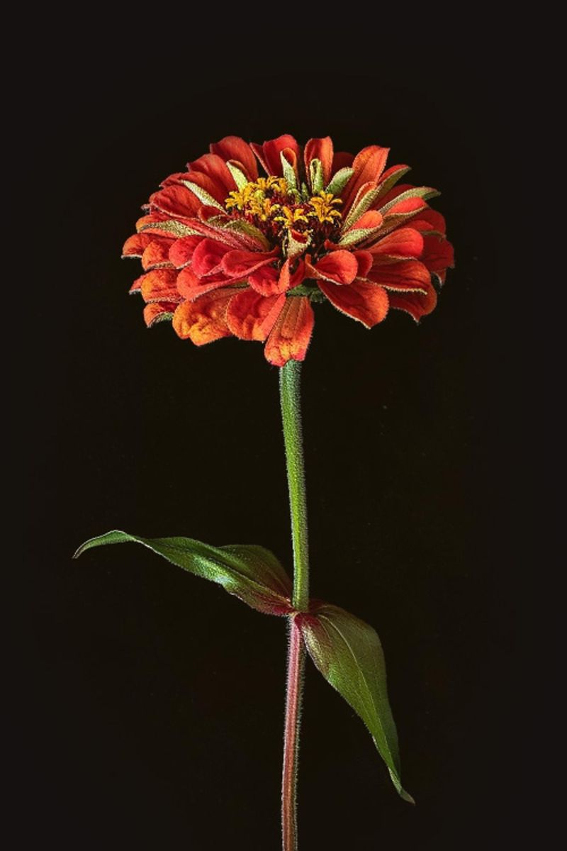 Historical Significance