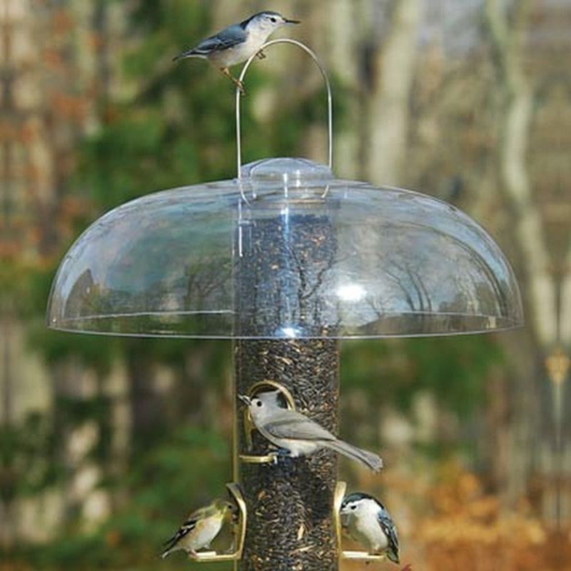 Improper Weather Protection