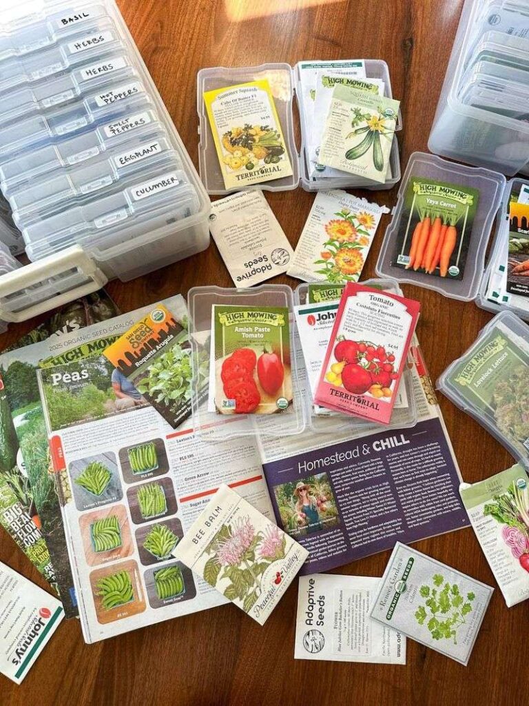 Preparation and Seed Organization Tips for a Stress-Free Seed Starting ...