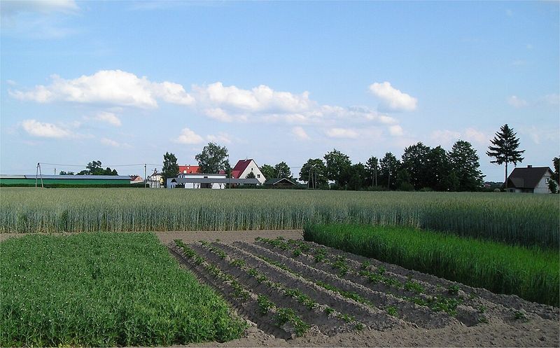 Crop Rotation Practices