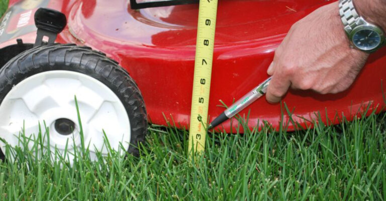 Prevent Lawn Mower Damage With These 12 Simple Tips