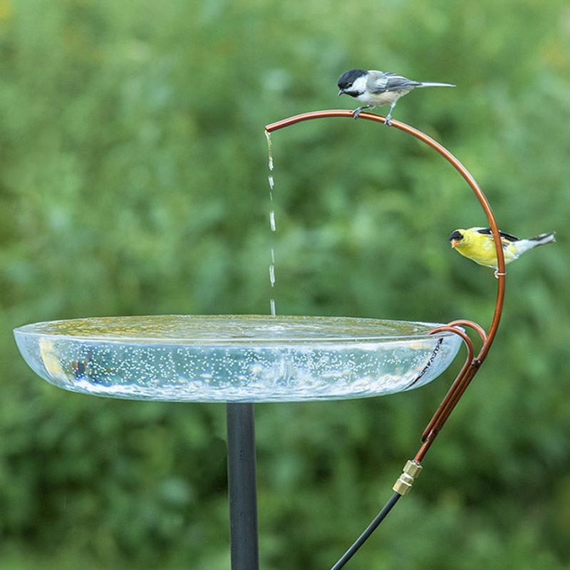 Set Up a Dripper or Misting System