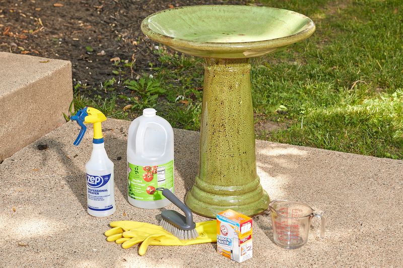 Maintain Cleanliness