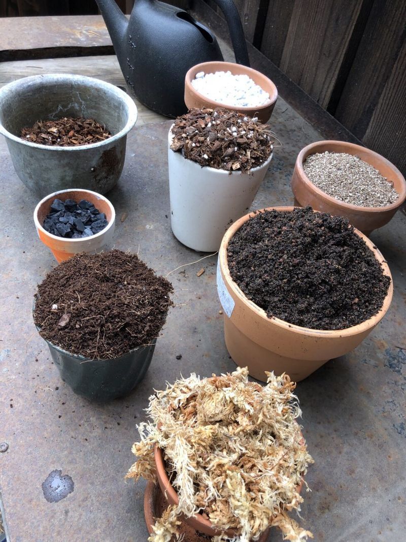 Leaf Mold Enrichment