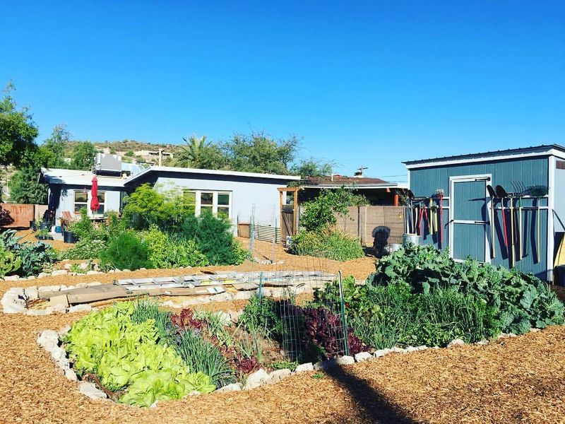 Ignoring Your Soil's Unique Personality