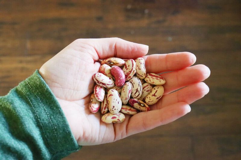 Seed Saving Traditions