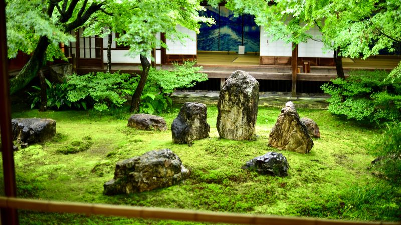 Moss (Softness for Overstimulated Minds)