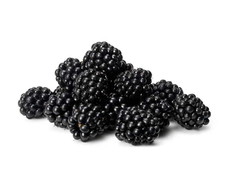 Blackberries