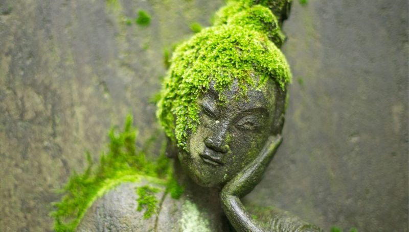 Moss-Covered Statues