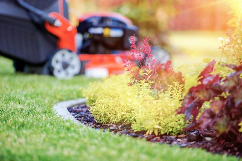 Time Your Lawn Care Seasonally