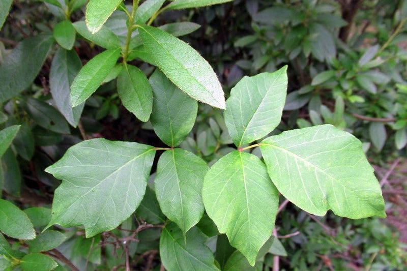 Educate Yourself and Others